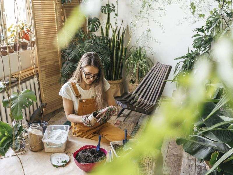Urban Jungle Wohntrend: So wird deine Wohnung grün!