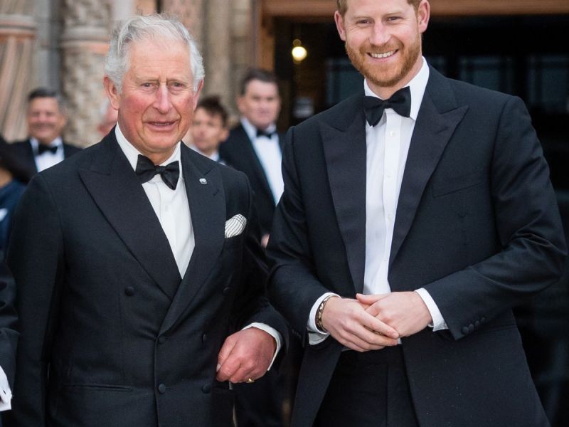 Prinz Charles: So wendet er sich von Prinz Harry ab