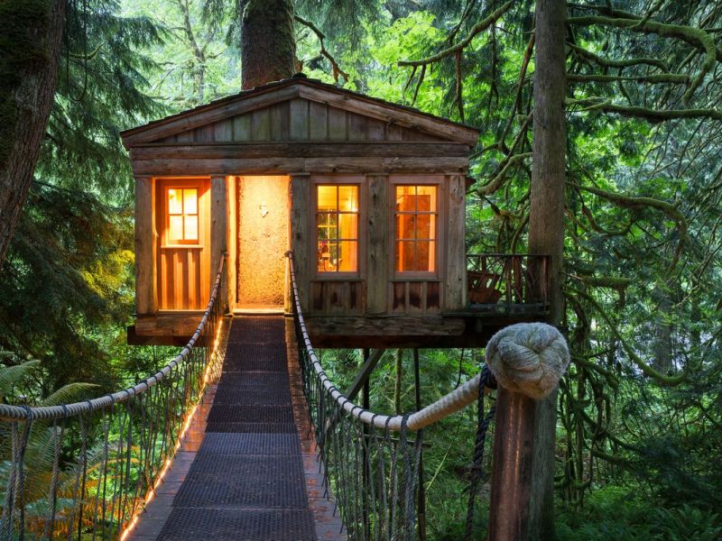 Im Wald Zuhause: Die schönsten Baumhaushotels in Deutschland