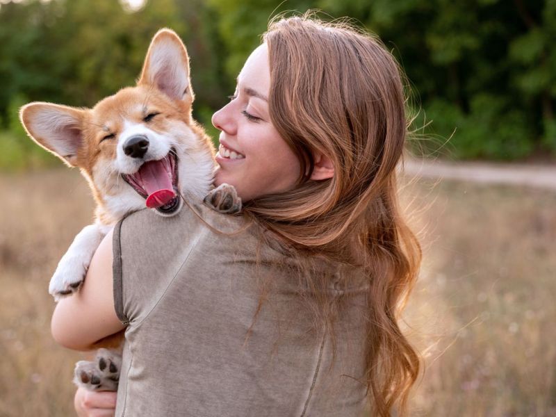 Hundefreundlichste Hotels