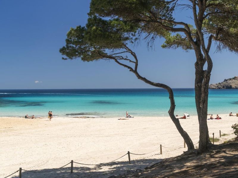 Strandurlaub: Das sind die 7 saubersten Strände Mallorcas!
