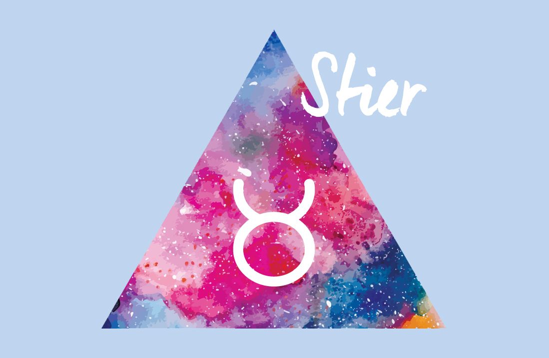 Stier Stier
