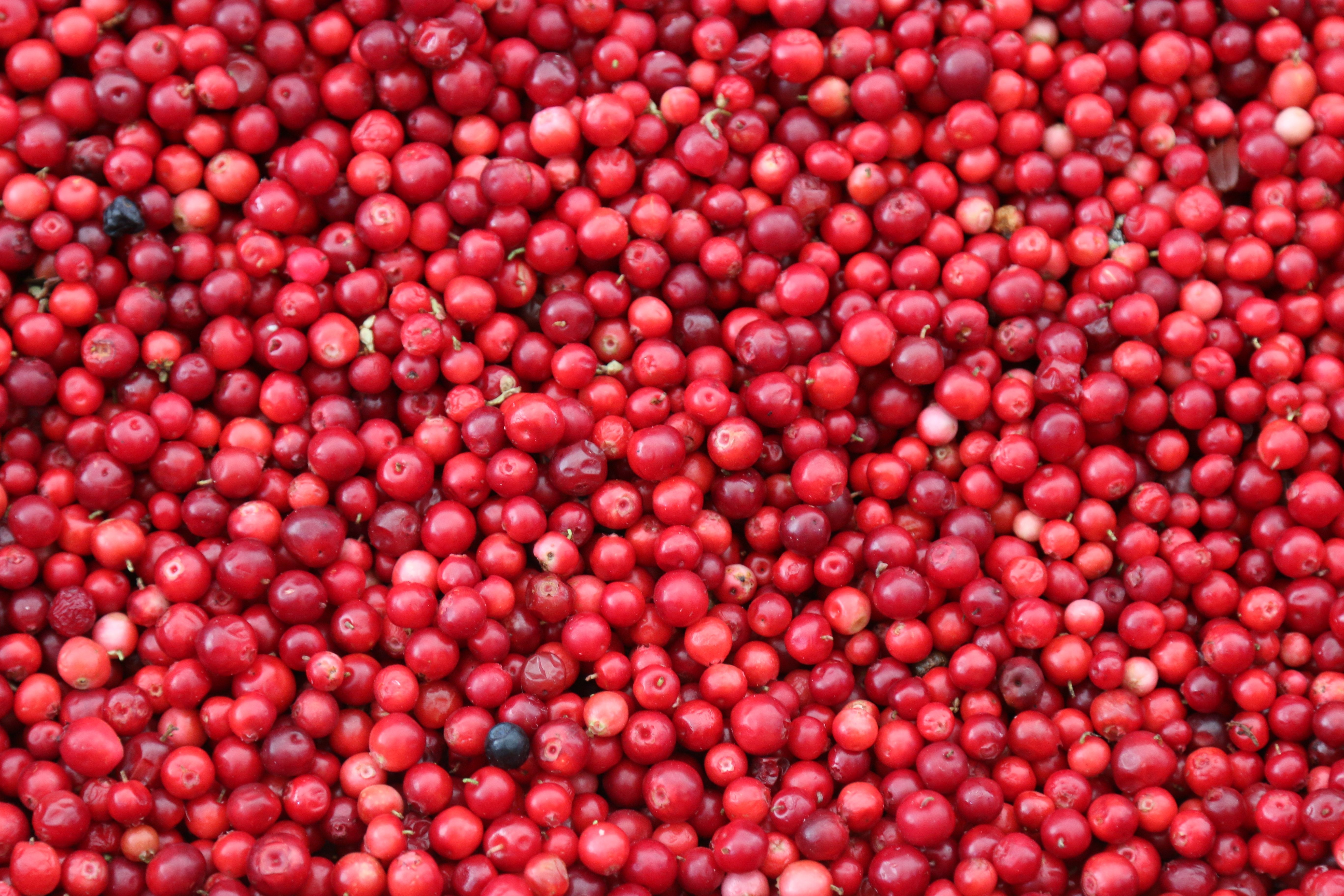Cranberry-Saft ist ein beliebtes Hausmittel bei Blasenentzündung
