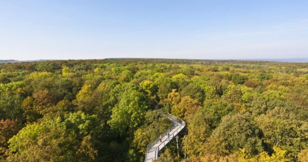 Nationalpark Hainich, Thüringen