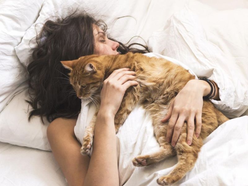 Katze im Bett schlafen lassen: Okay oder gefährlich für die Gesundheit?