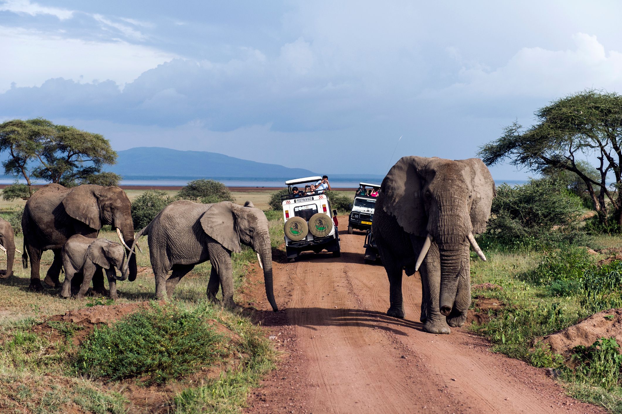 Safari in Tansania