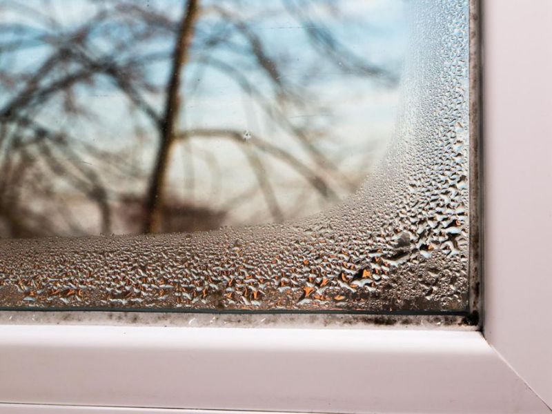 Kondenswasser am Fenster? Das hilft gegen schwitzende Fenster