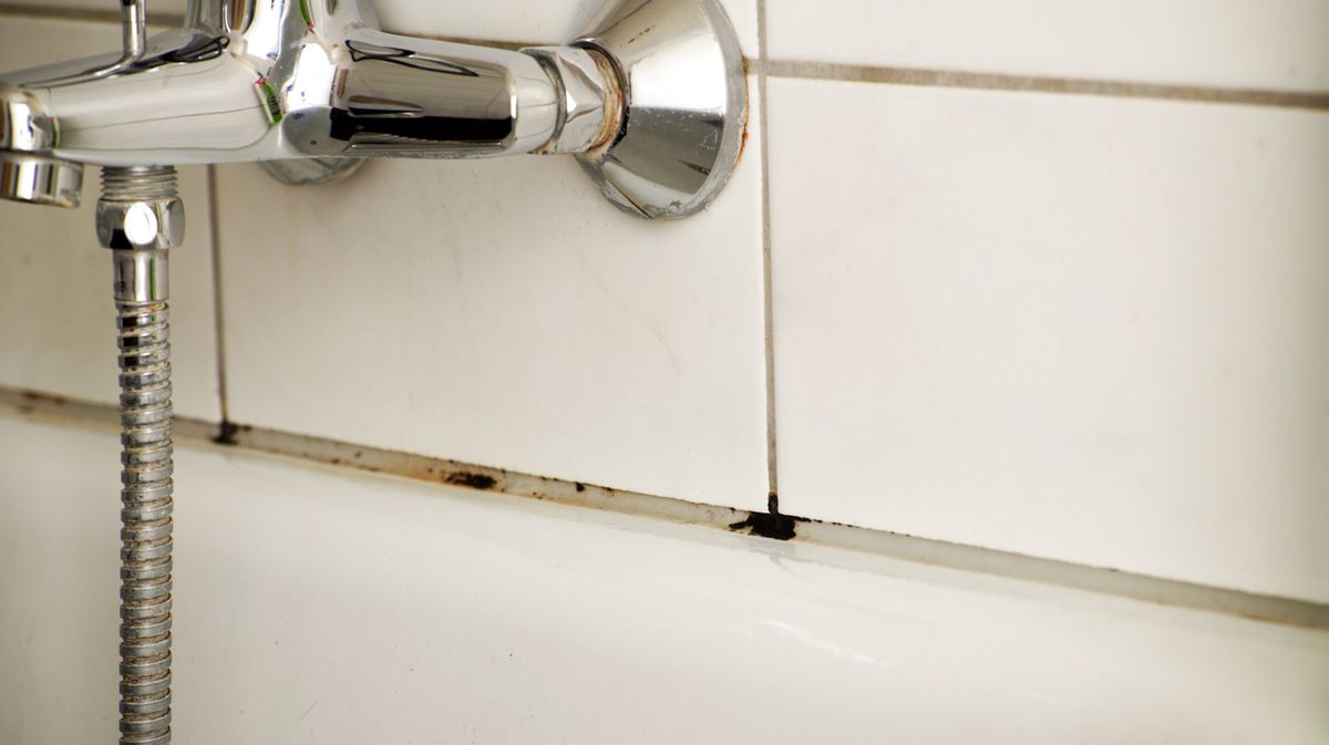 Schimmel in der Dusche entfernen Mit diesen Mitteln klappt