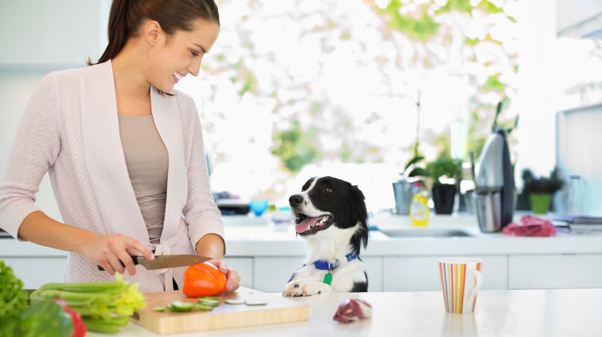 Hundehalter aufgepasst: Dürfen Hunde Paprika essen?