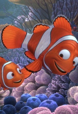Die schönsten Filme für die ganze Familie: Findet Nemo (FSK 0)