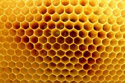 Bienenwaben gelten als sehr unangenehm für Trypophobiker