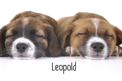 Leopold