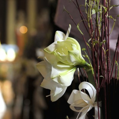 Blumendeko f&#xFC;r die Hochzeit: Die sch&#xF6;nsten Ideen