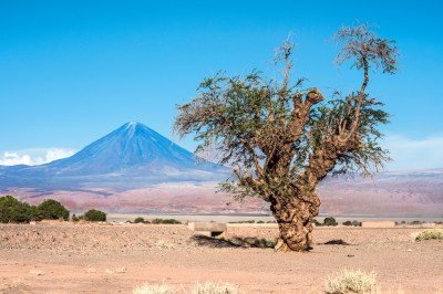 Atacama (Chile)