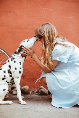 Aufgepasst! Das verrät dein Hund über deine Persönlichkeit