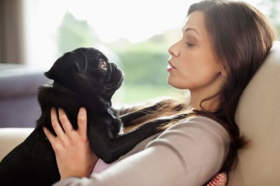 1. Dem Hund in die Augen starren