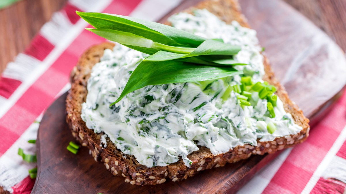 Bärlauch-Aufstrich auf Brot