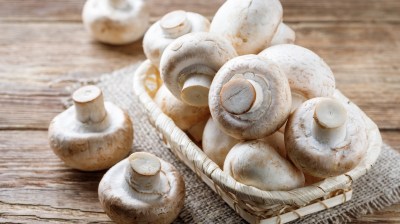 Saisonkalender: Champignons