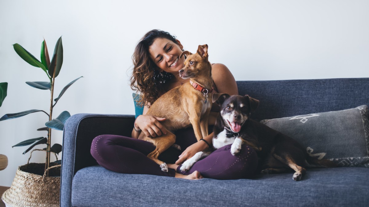 Frau mit zwei Hunden auf der Couch