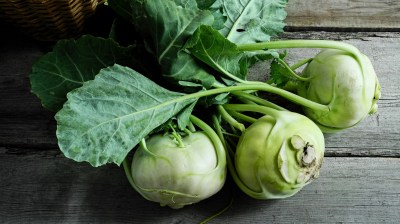 Saisonkalender: Kohlrabi