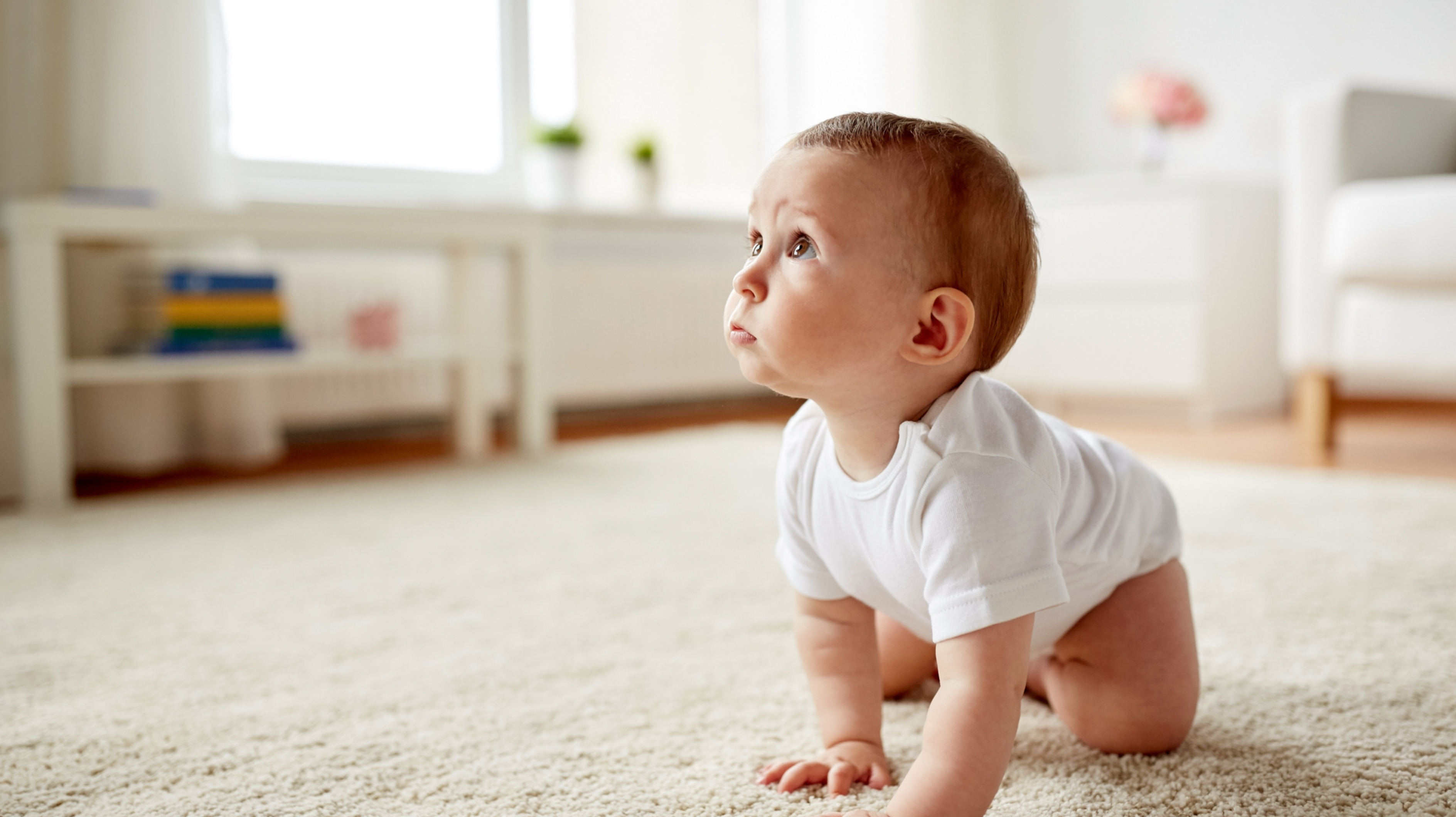 Полз По Фото Хабаровск Заказать