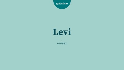 Vorname Levi