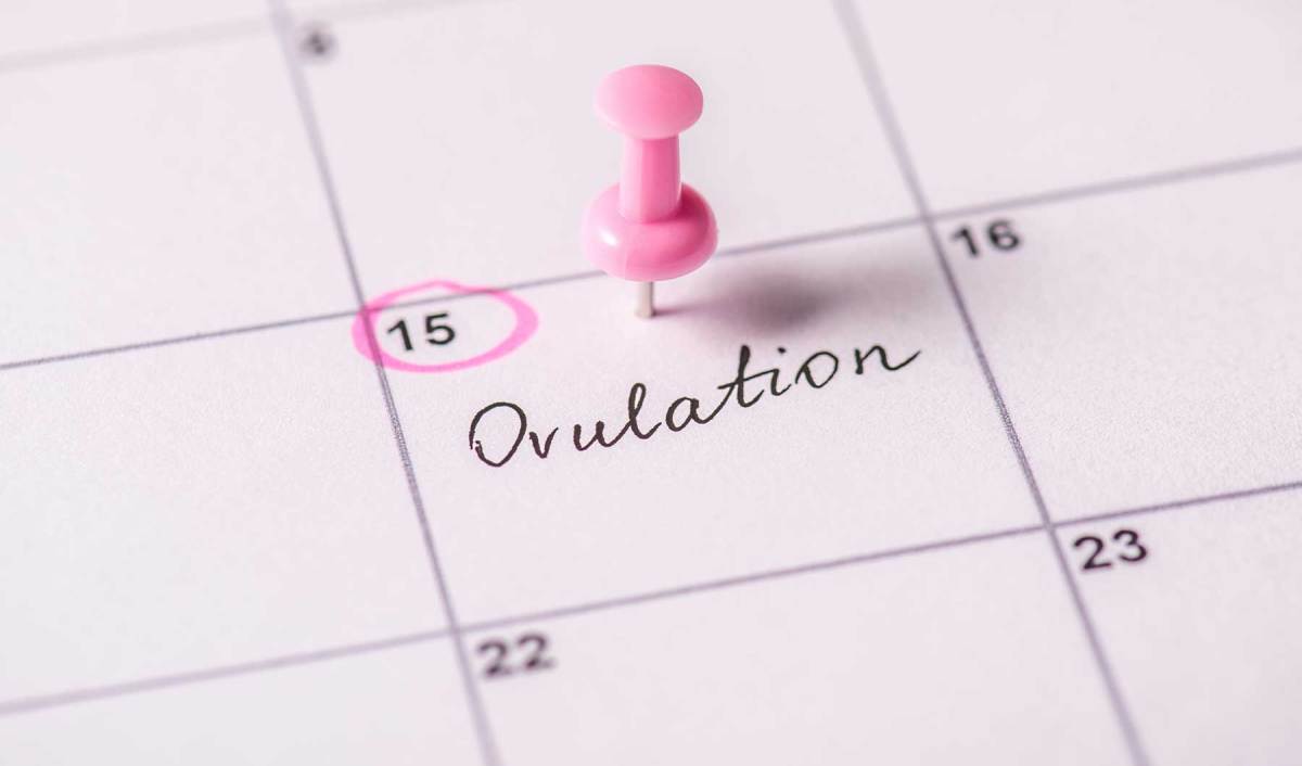 Eisprungrechner: Foto eines Kalenders mit rosa Pin und Begriff "Ovulation"