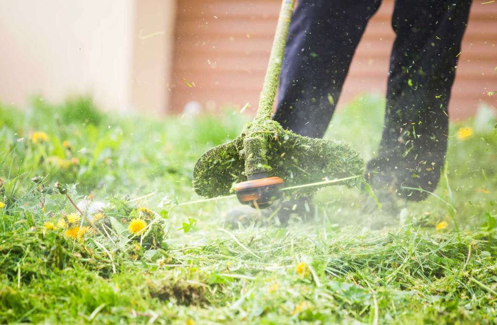 Gärtnern ohne Risiko: Wann Rasenmähen wirklich verboten ist