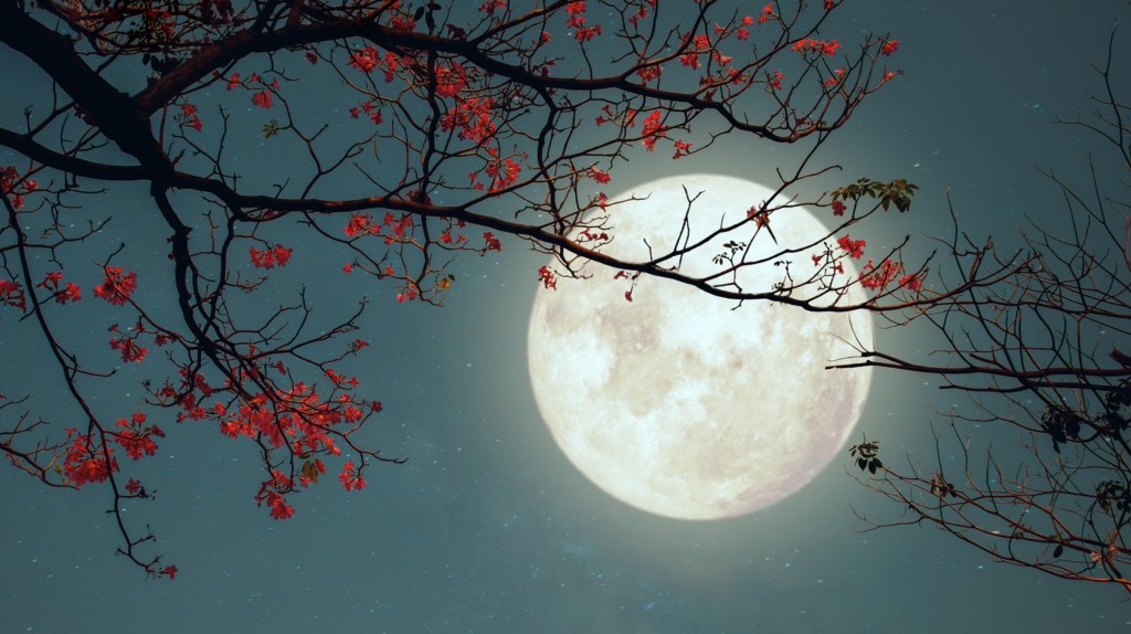 Vollmond im Juni: drei chinesische Sternzeichen spüren seine Kraft
