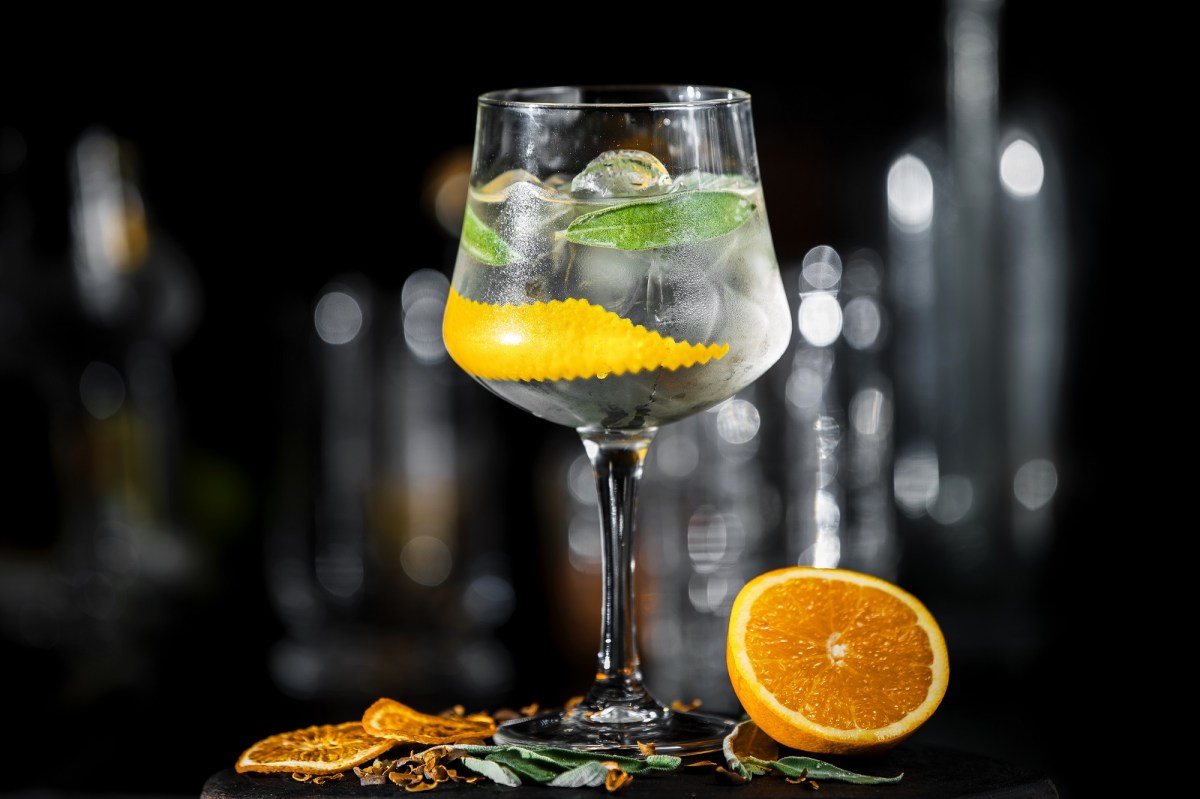 Gin Tonic Spritz: Diesen Cocktail trinken wir im Sommer 2023 - gofeminin
