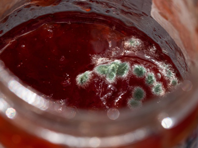 Schimmelige Erdbeerkonfitüre in einem Glas.