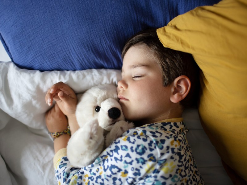 Kind, vermutlich Erstklässler, liegt schlafend im Bett mit Teddy im Arm.