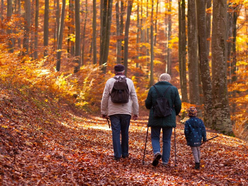 Großeltern gehen mit Enkel im Wald spazieren.