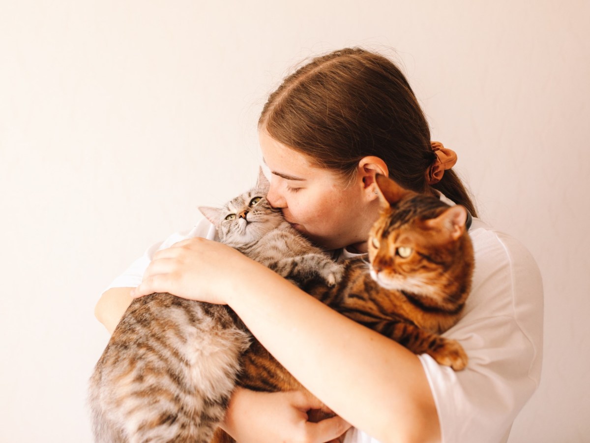 Frau kuschelt mit zwei Katzen auf ihrem Arm