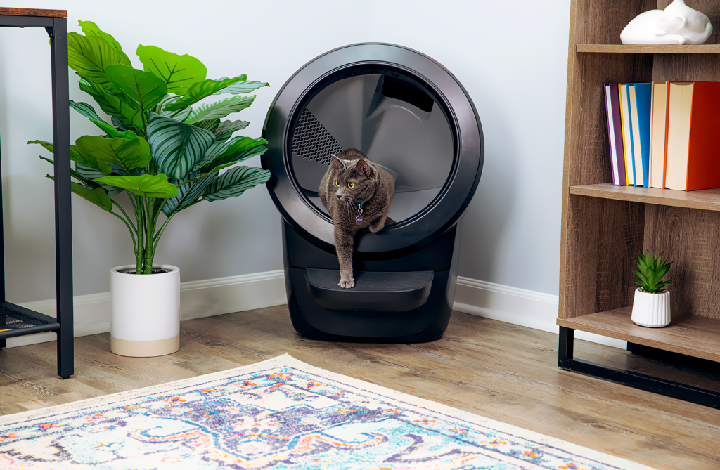 Katze geht auf selbstreinigende Katzentoilette.
