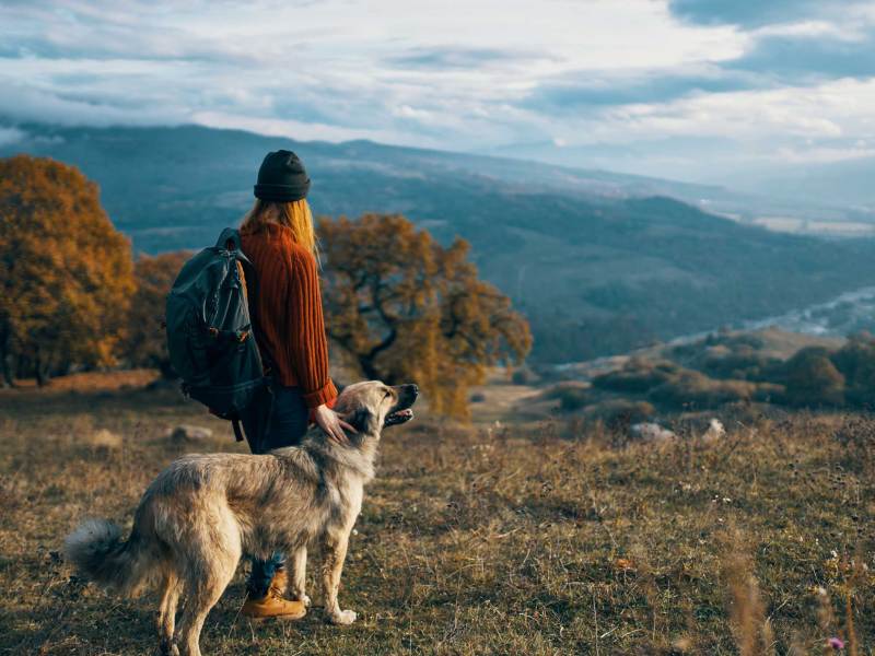 Frau wandert mit ihrem Hund in den Bergen. Natur, Reisen, Landschaft