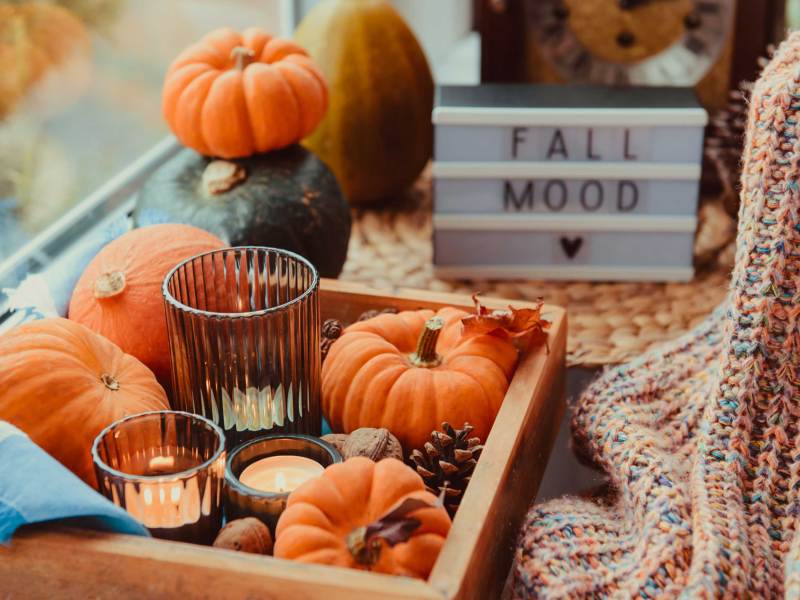 Herbst gemütliche Stimmung Zusammensetzung auf der Fensterbank. Kürbisse, Zapfen, Kerzen auf Holztablett, verschwommen Herbst Stimmung Nachricht auf Leuchtkasten, warme Plaid. Herbst, Herbst, Hygge Heimtextilien.