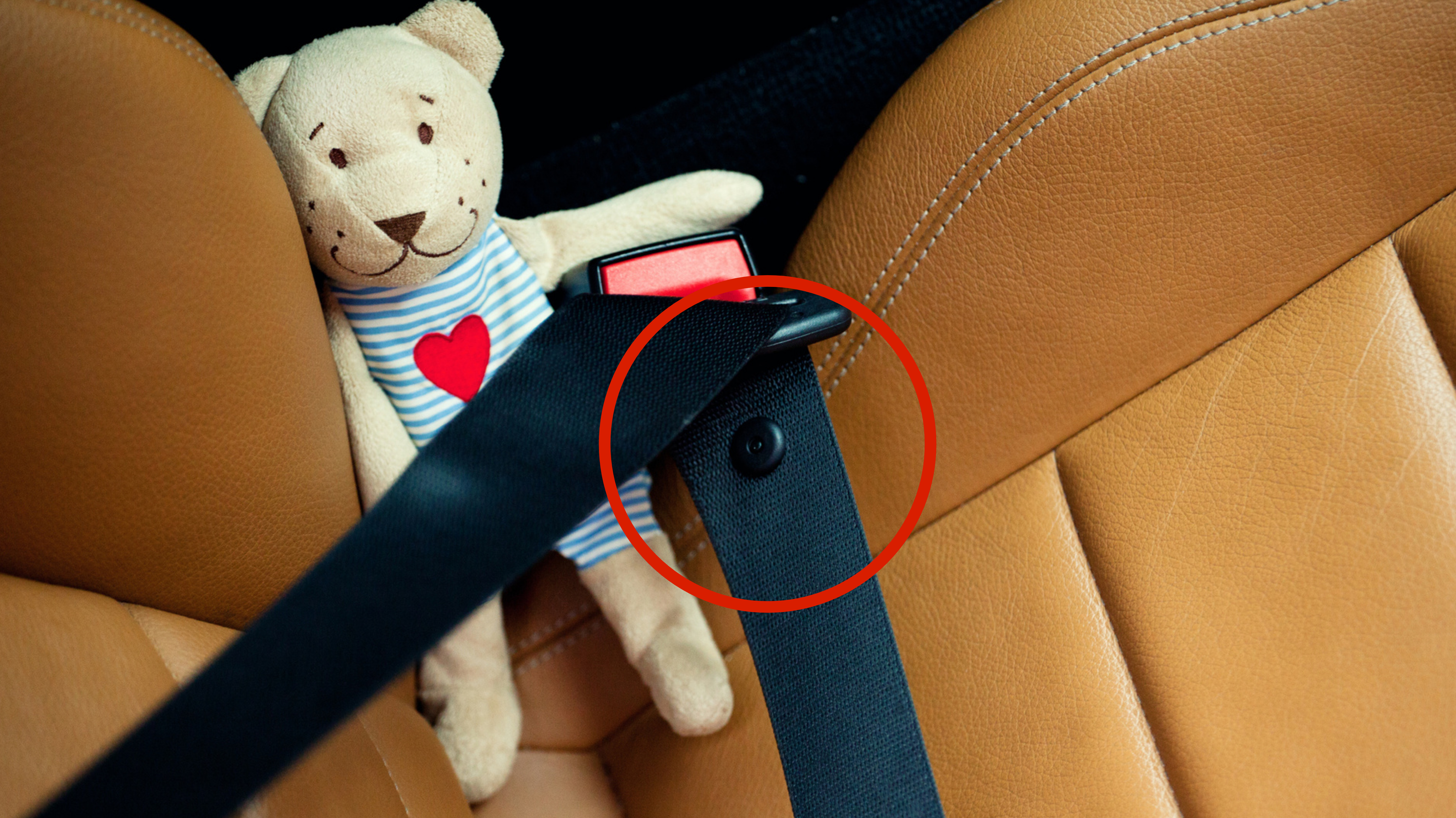Dafür ist der mysteriöse Knopf am Sicherheitsgurt im Auto gedacht -  gofeminin