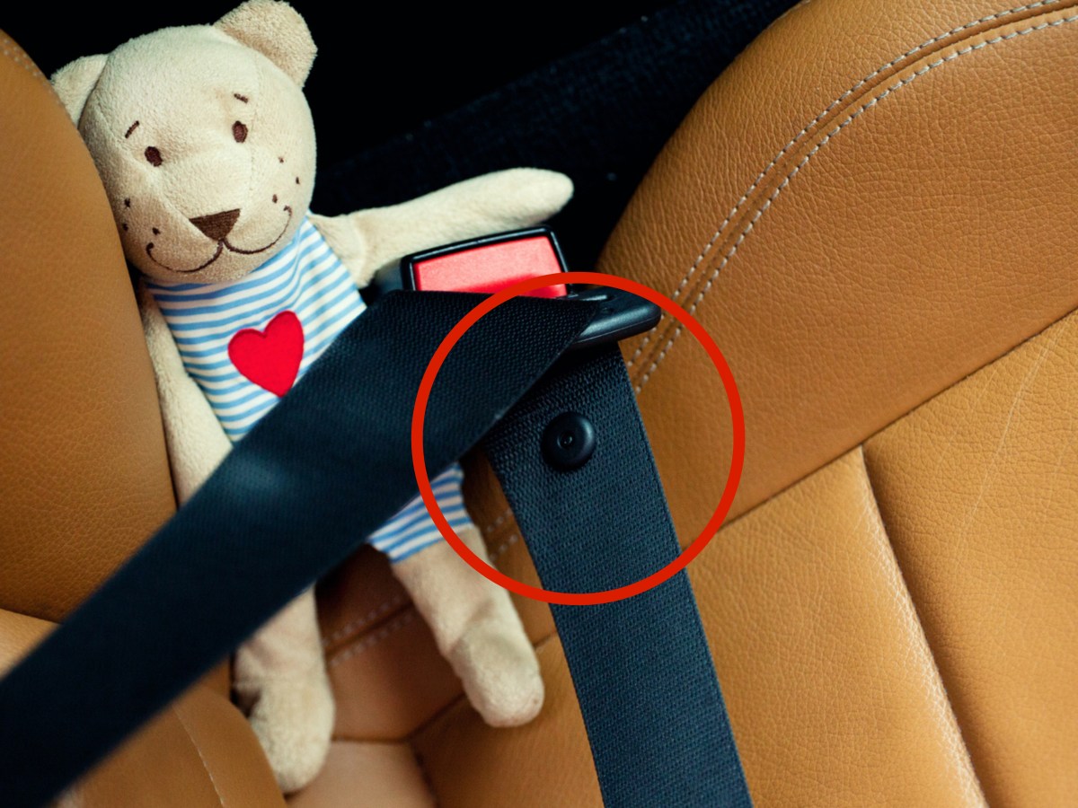 Teddybär ist im Auto mit angeschnallt.
