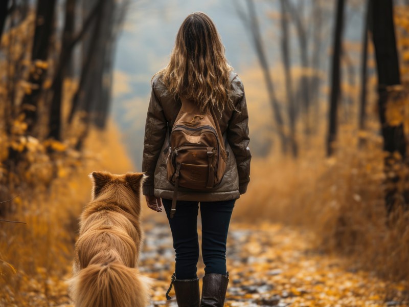 Frau geht mit Hund in Herbstwald spazieren
