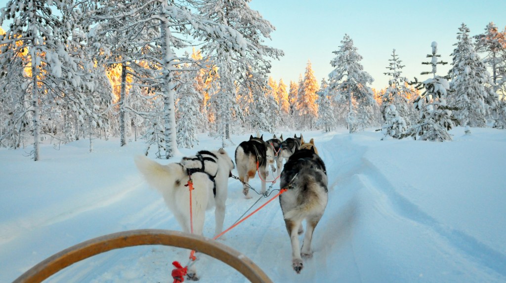 Winterurlaub Lappland