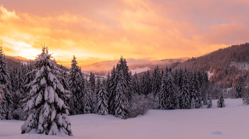 Winterurlaub Schwarzwald