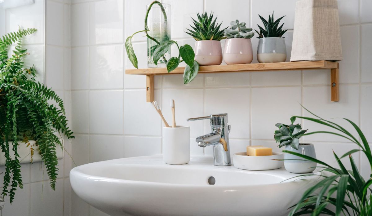Badezimmer mit Pflanzen: Blick auf Waschbecken darüber Topfpflanzen
