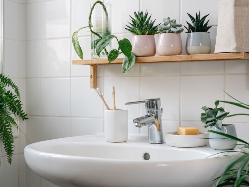 Badezimmer mit Pflanzen: Blick auf Waschbecken darüber Topfpflanzen