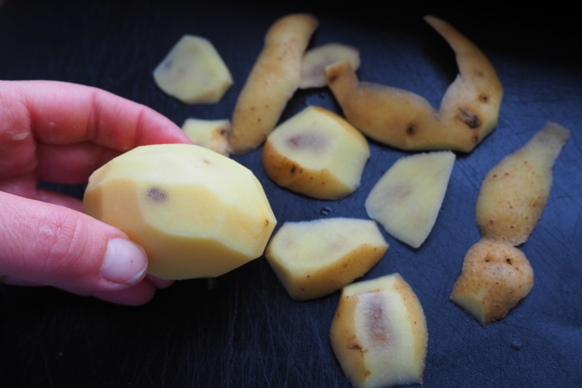 Kartoffel mit schwarzen Flecken in einer Hand