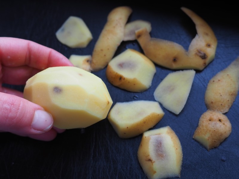 Kartoffel mit schwarzen Flecken in einer Hand