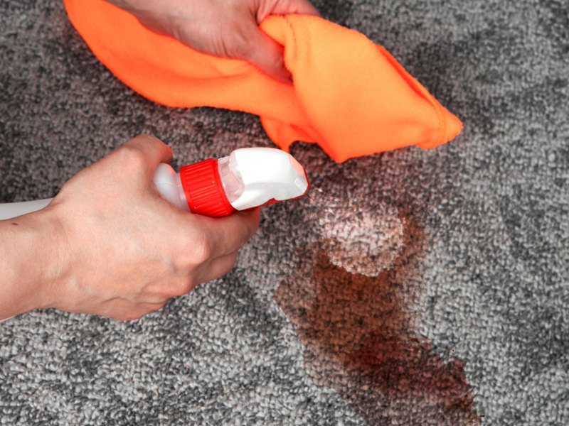 Person mit Lappen und Reiniger in der Hand versucht roten Fleck aus Teppich zu reinigen.