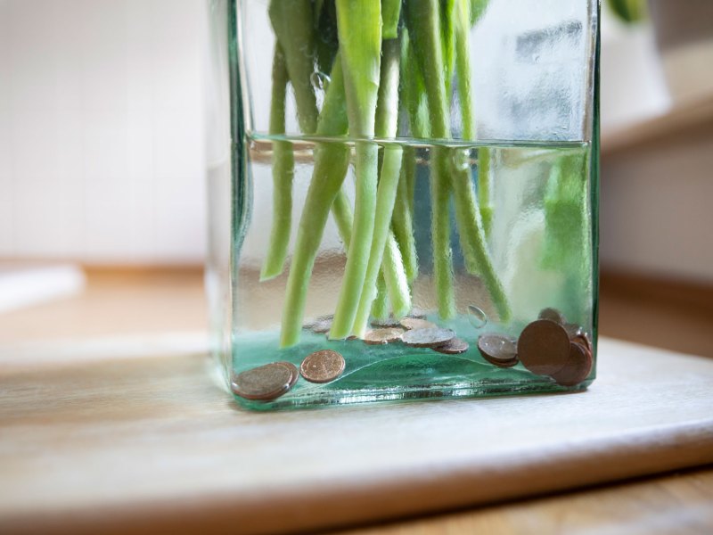 Tulpenstrauß in Vase, im Wasser befinden sich Cent-Münzen
