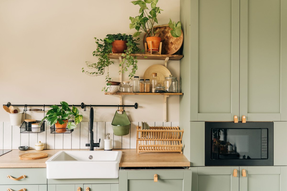 Moderne Küche mit Pflanzen und Regalen
