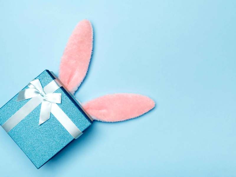 Blaue Geschenkbox mit rosa Hasenohren vor blauem Hintergrund.